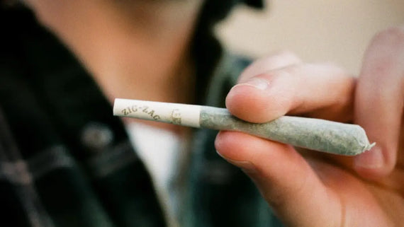 Zig-Zag rolling paper wrapped around a hand-rolled joint held by a person wearing a dark jacket.
