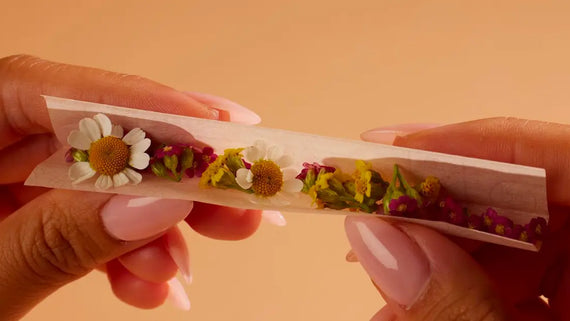 Rolling 101: Techniques Every Beginner Should Know