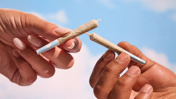 terpene infused edibles