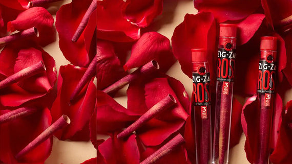 Wake Up and Smell the Roses: A Valentine’s Ritual Built Around Mini Rose Cones