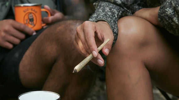 Best king-sized cones being enjoyed outdoors by campers with a lit cone and Zig-Zag mug in a relaxed setting.