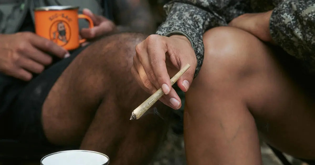Best king-sized cones being enjoyed outdoors by campers with a lit cone and Zig-Zag mug in a relaxed setting.