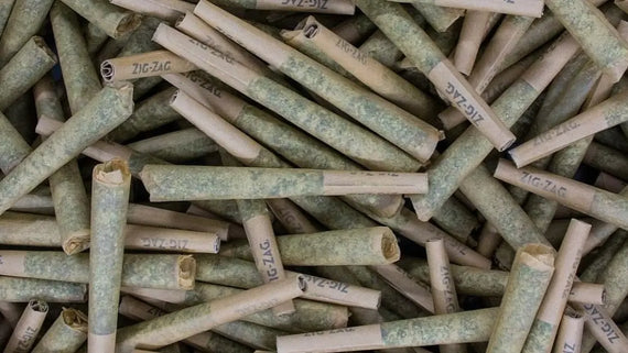 Natural rolling papers stacked in bulk, each filled and sealed with visible Zig-Zag branding.