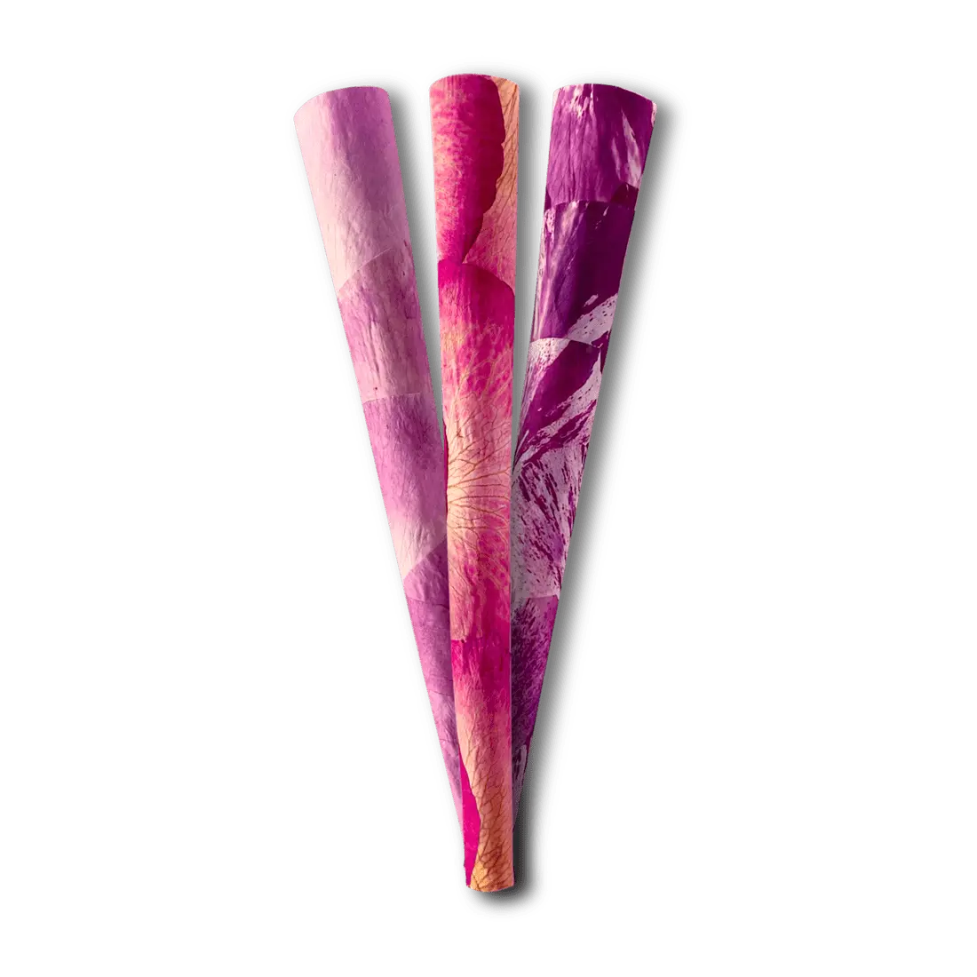 rose cones