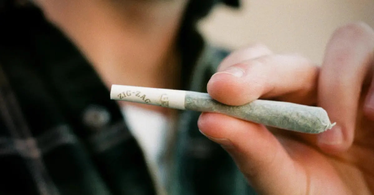 Zig-Zag rolling paper wrapped around a hand-rolled joint held by a person wearing a dark jacket.