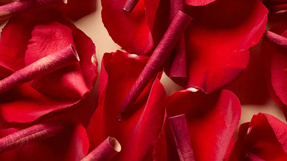 Roses, Reimagined: Why Mini Rose Cones Are the Ultimate Valentine’s Upgrade